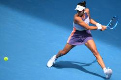 米兰入口 -萨古鲁为什么不能进中国